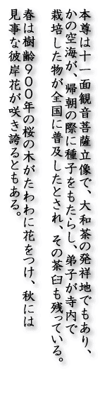 �{���͏\��ʊω���F�����ŁA��a���̔��˒n�ł�����A ���̋�C���A�A���̍ۂɎ�q�������炵�A��q�������� �͔|���������S���ɕ��y�����Ƃ���A���̒��P���c���Ă���B  �t�͎���X�O�O�N�̍��̖؂������ɉԂ����A�H�ɂ� �����Ȕފ݉Ԃ��炫�ւ�Ƃ�����B