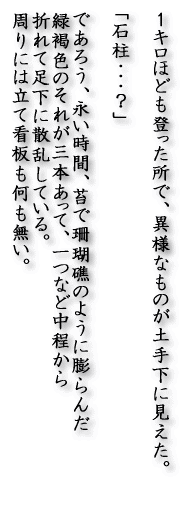 �P�L���قǂ��o�������ŁA�ٗl�Ȃ��̂��y�艺�Ɍ������B  �u�Β��E�E�E�H�v  �ł��낤�A�i�����ԁA�ۂŎX��ʂ̂悤�ɖc��� �Ί��F�̂��ꂪ�O�{�����āA��Ȃǒ������� �܂�đ����ɎU�����Ă���B ����ɂ͗��ĊŔ����������B