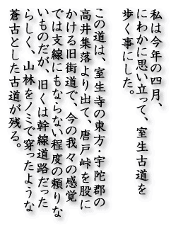 ���͍��N�̎l���A �ɂ킩�Ɏv�������āA�����Ó��� �������ɂ����B  ���̓��́A�������̓����E�F�ɌS�� ����W�����o�āA���˓����҂� �����鋌�X���ŁA���̉�X�̊��o �ł͎x���ɂ��Ȃ�Ȃ����x�̗���� �����̂����A�����͊������H������ �炵���A�R�т�������悤�� ���ÂƂ����Ó����c��B 